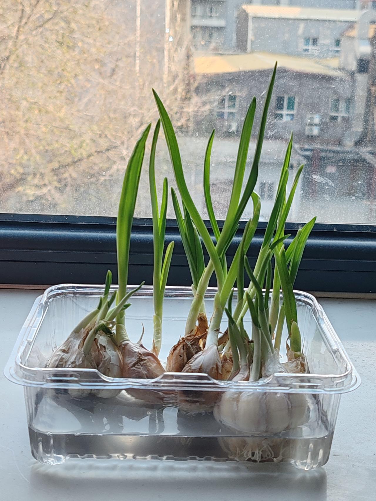 养老钱是否给孩子，需依孩子的情况而定。有的孩子贪婪，有的孩子贤良；有的孩子会攒钱