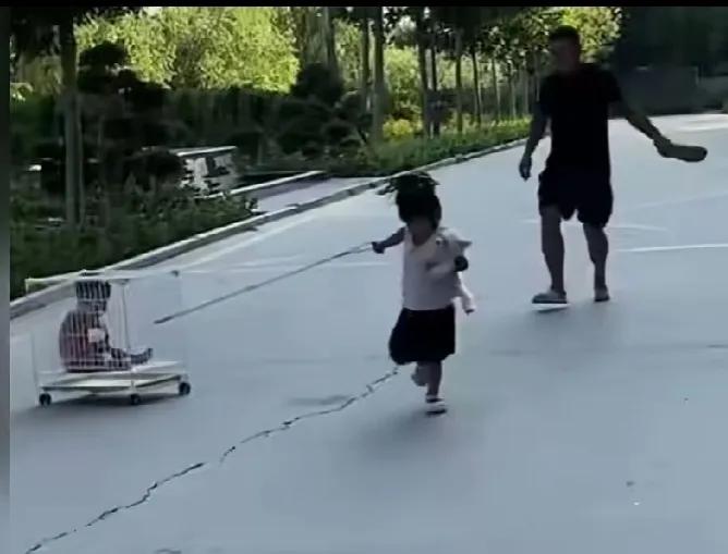 姐姐带着弟弟拉着笼子里的狗狗出去玩，正在家里耍手机的爸爸被邻居告知：你快下楼去看
