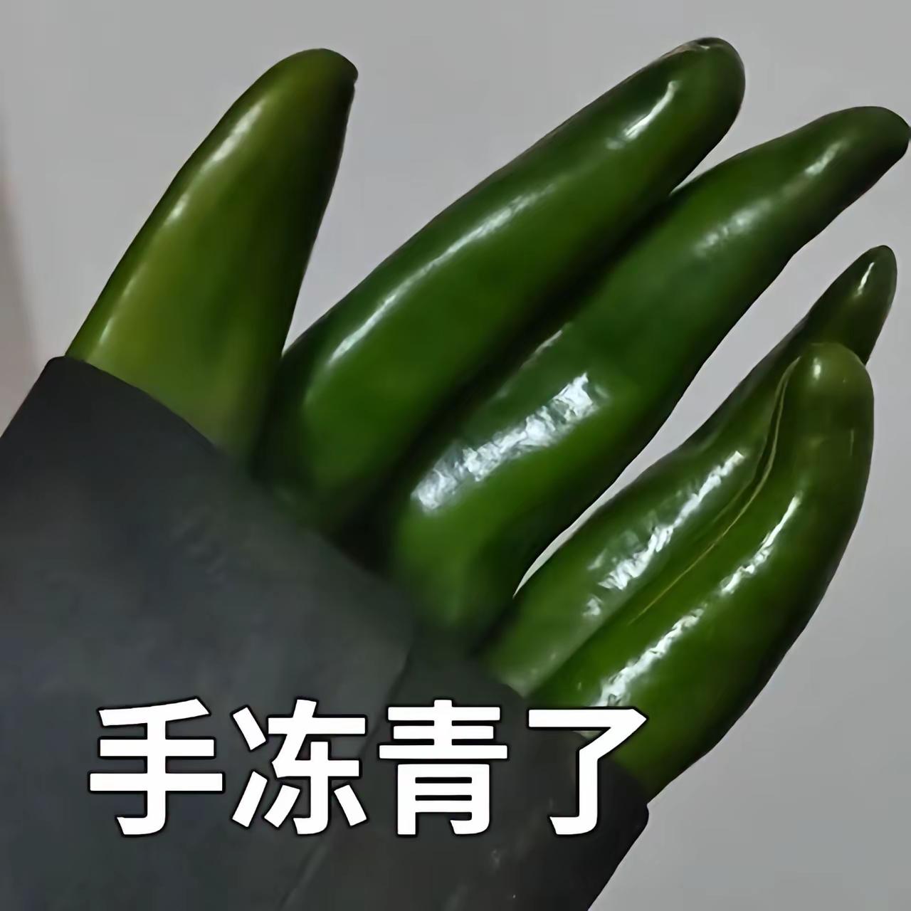 我的手都清了，我的手都冻姜了。我的手都冻成狗了。