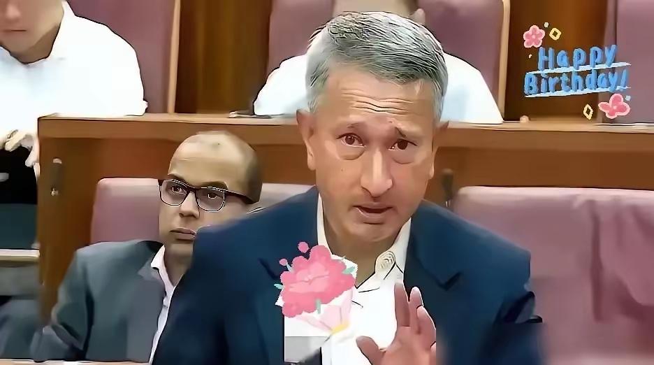 新加坡坐不住了东盟会场里，新加坡外长把发言稿往桌沿一磕，脸绷得紧，开口就要中