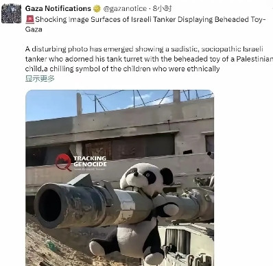 中国是应该表明态度了！太狂了！中国警告以色列后，以军发布“斩首熊猫”照片。在国际