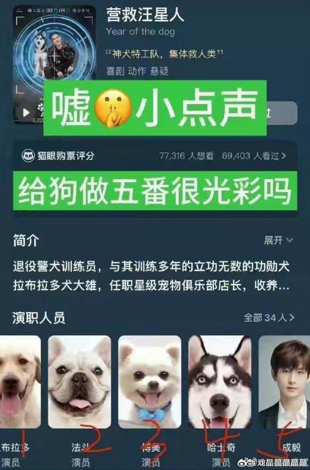 谁说老の没吃过番位的苦？离开钟大妈的投资，根本保不住番位，以前给狗狗做遇到，想拍