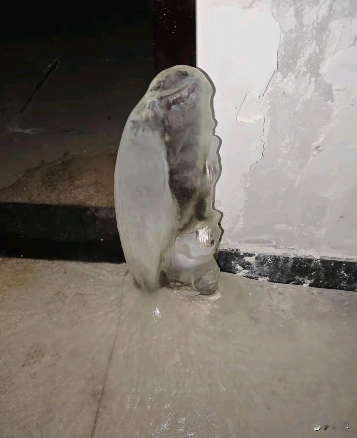 第一眼真没看出来得仔细看