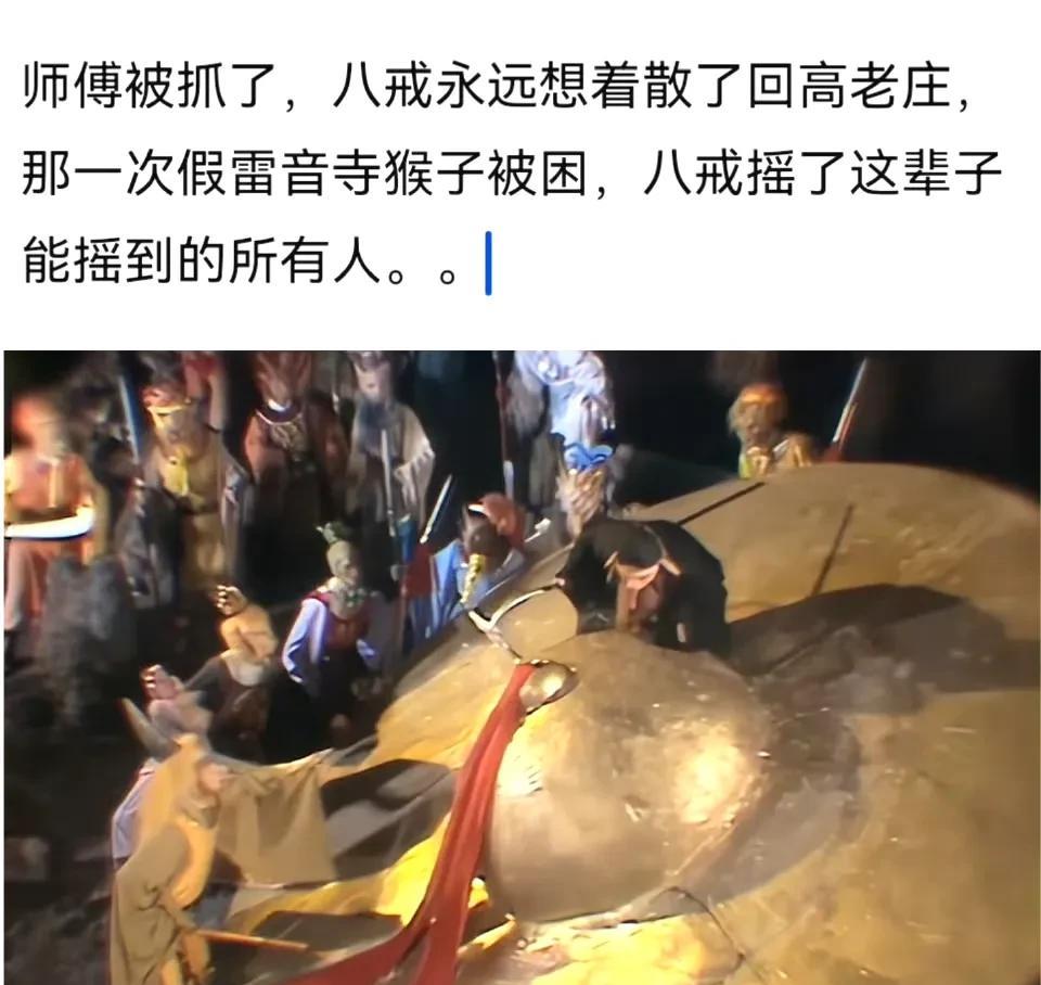 八戒摇了这辈子能揺到所有人。。