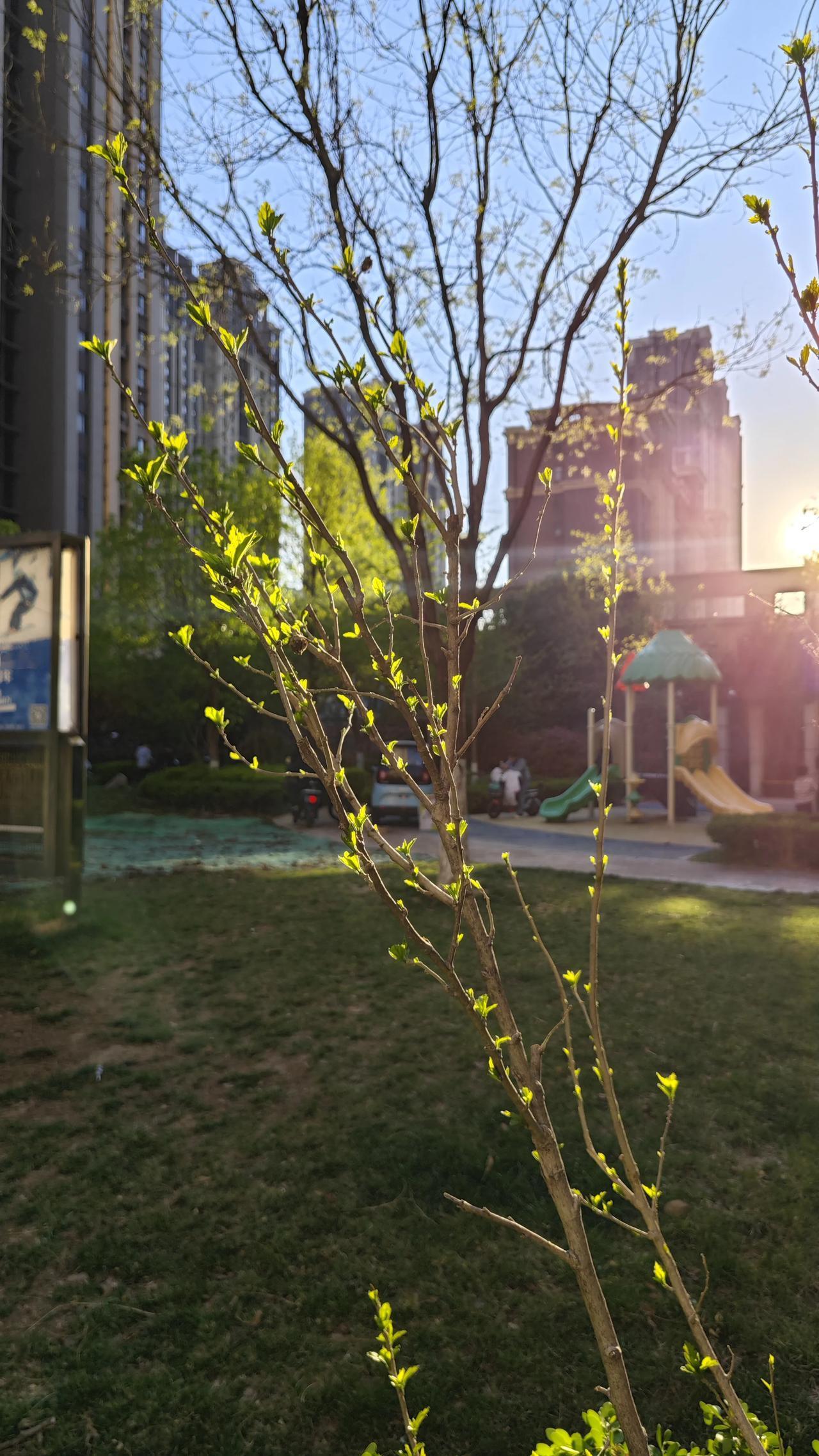 一位老中医说：恢复元气最快的秘诀，就是每天多读书，尤其是经典。起初我不信，后来才