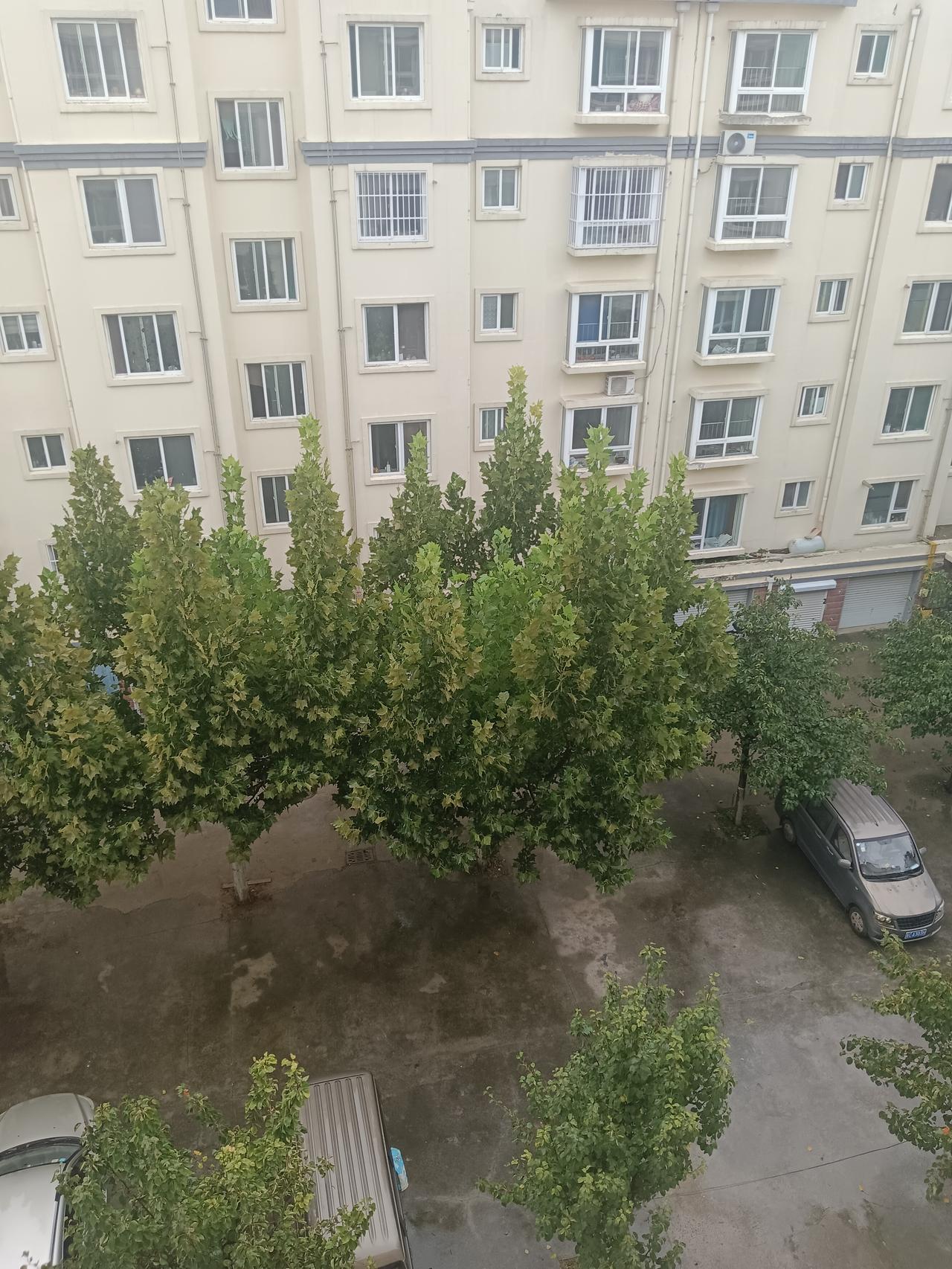 人老了就是老了，你不管你怎么不服老都不行。刚刚小区里经常跟老公一起打牌的大叔跟