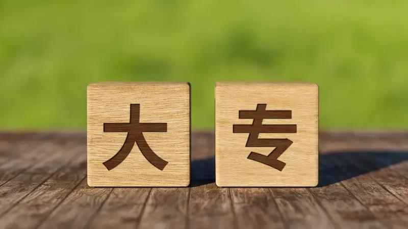 我的母校升级了，从我们当年就读的中专，摇身一变成了大专。然而，这样的升级真的有意
