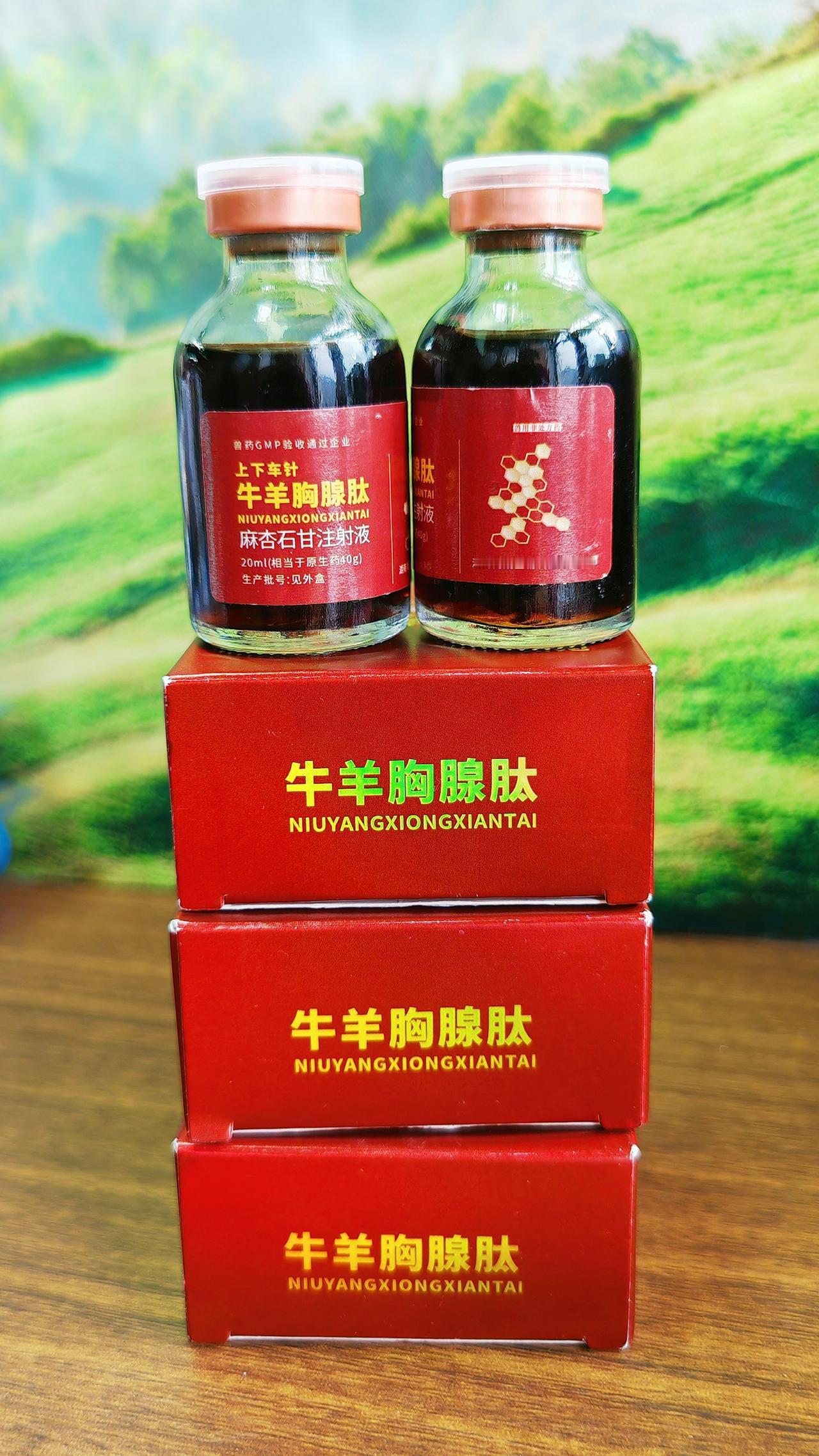 养羊人农村养羊牛羊养殖