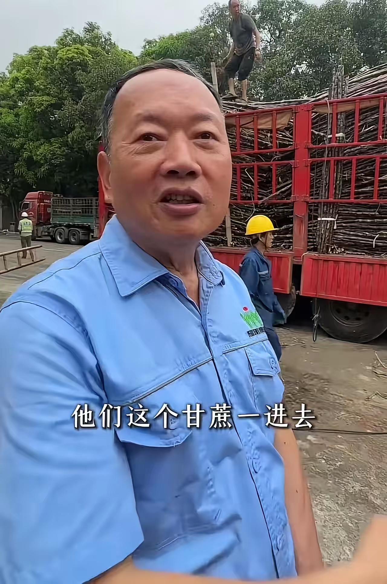 “380块一吨收甘蔗，你还骂我黑心？”化州老板助农反被骂，蔗农一番话让人心寒