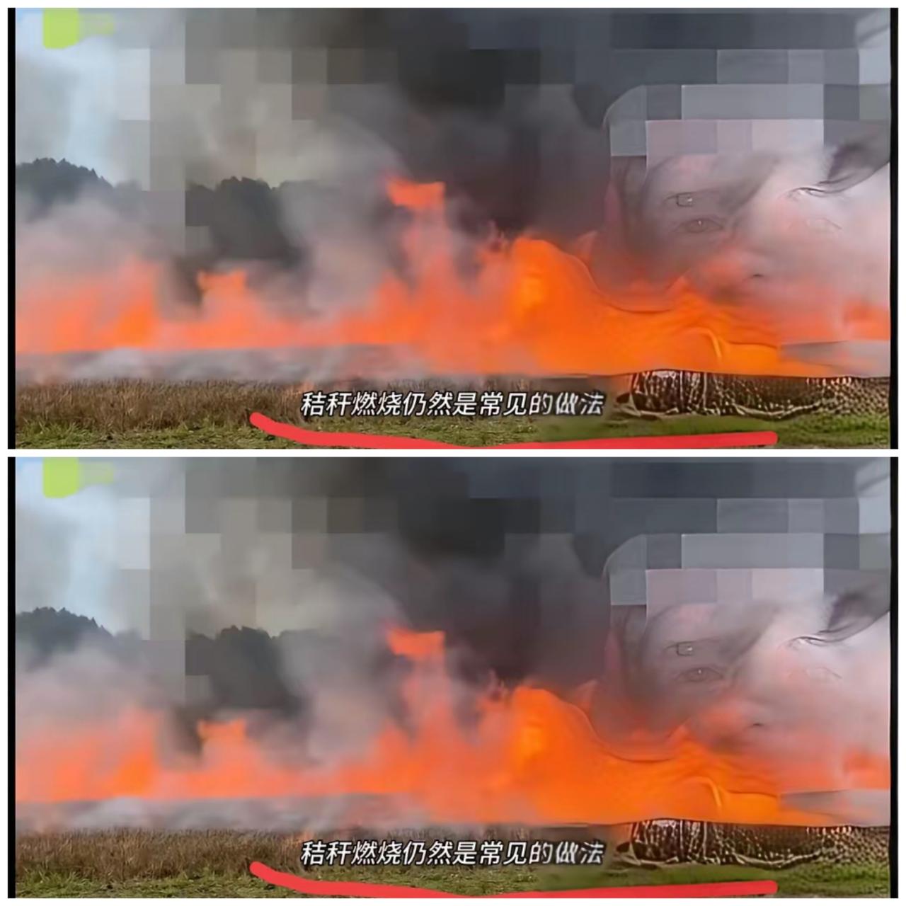 惊掉下巴！秸秆焚烧突然翻红，专家这次的结论太颠覆认知！北师大研究一出来彻底