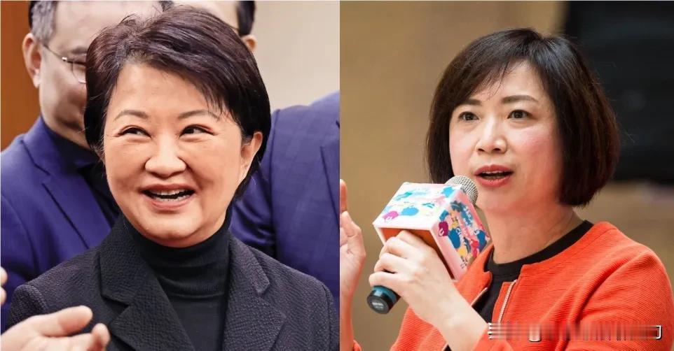 卢秀燕这波发言纯属给自己挖坑！大喊“2028蓝绿该轮替”，结果被绿营的何欣纯抓着