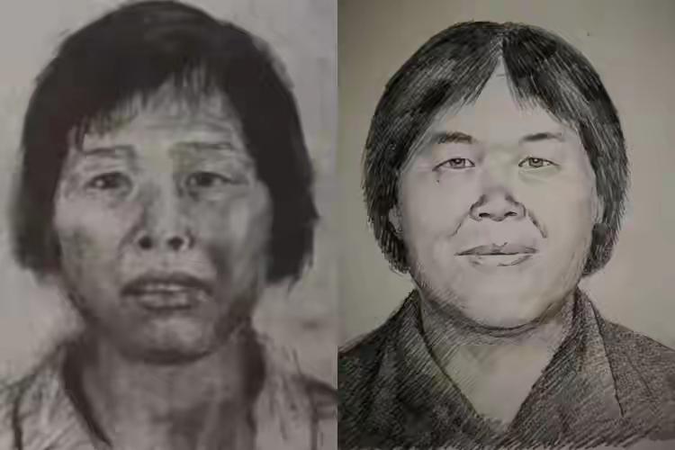 大快人心，“知名”人贩子梅姨落网！前几年引起社会广泛关注的张维平团伙系列拐卖人