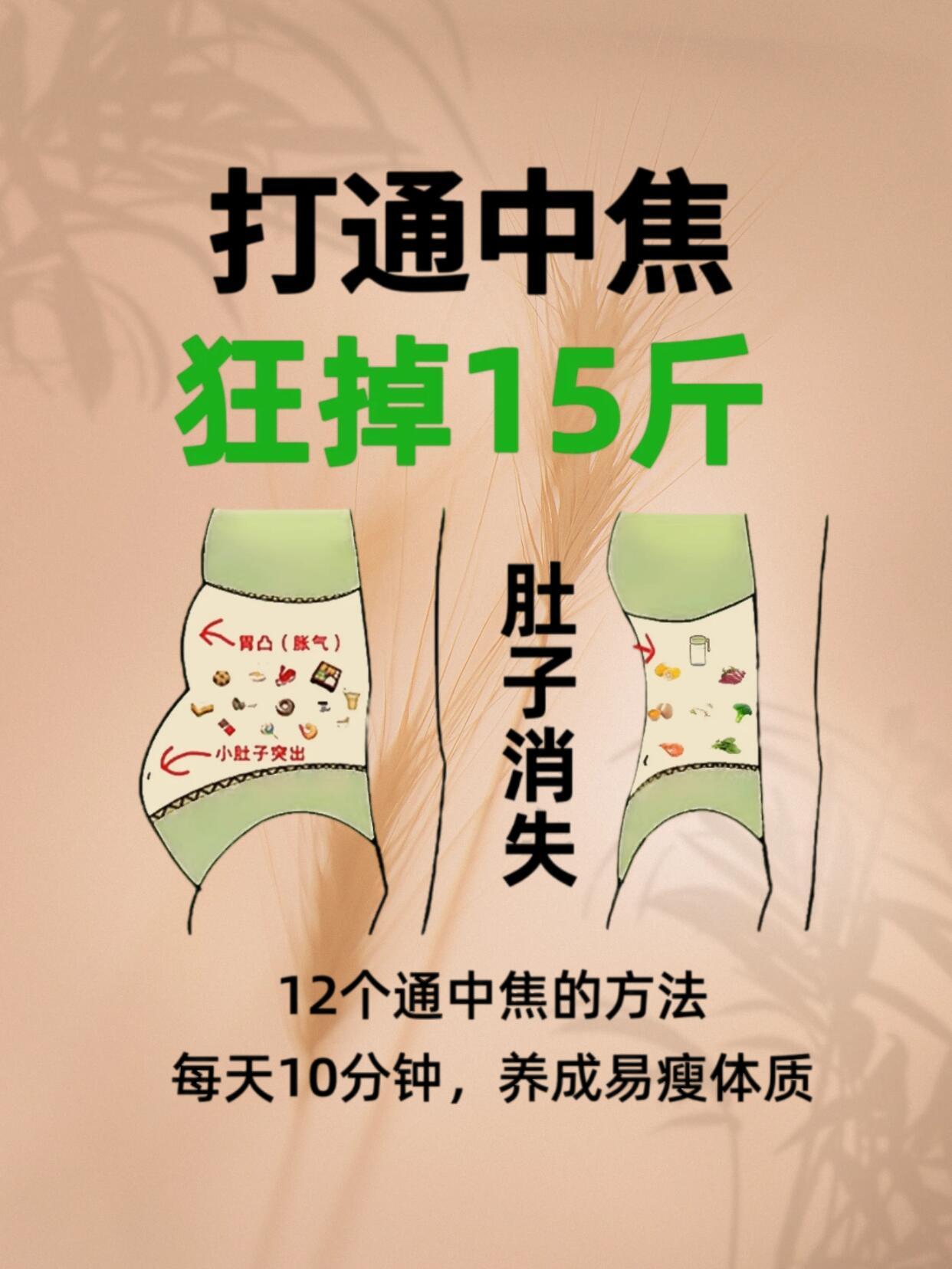 每天10分钟打通中焦✨不运动也能瘦中焦通了，身体自然轻盈传统智慧认为，中焦如同身