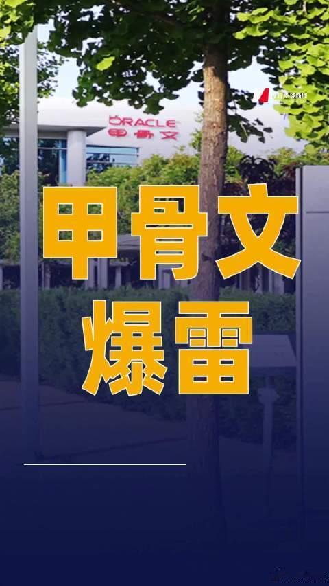 美国科技巨头甲骨文爆雷据路透社援引知情人士报道，甲骨文已向BlueOwl旗下