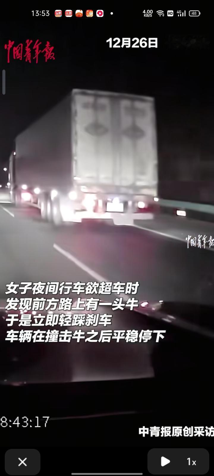 12月26日，孝感安陆市。女子夜间行车欲超车时，发现前方路上有一头牛，于是立即轻