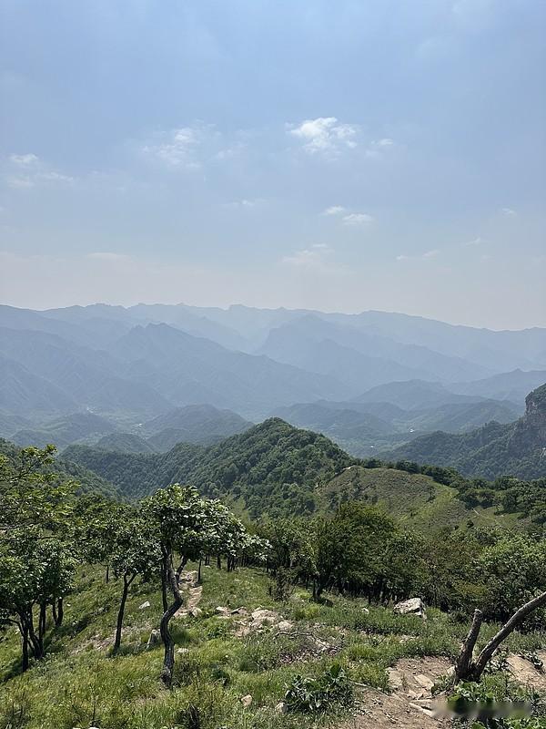 植物神经功能紊乱危害可不小。它容易引发多种疾病，像交感神经兴奋、副交感神经抑制就