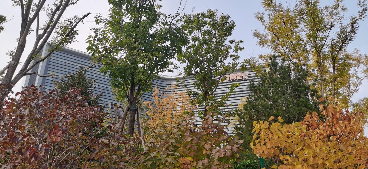 阿里巴巴，一个年轻人逐梦的地方！这就是北京阿里巴巴总部大楼，三个办公区由两个过