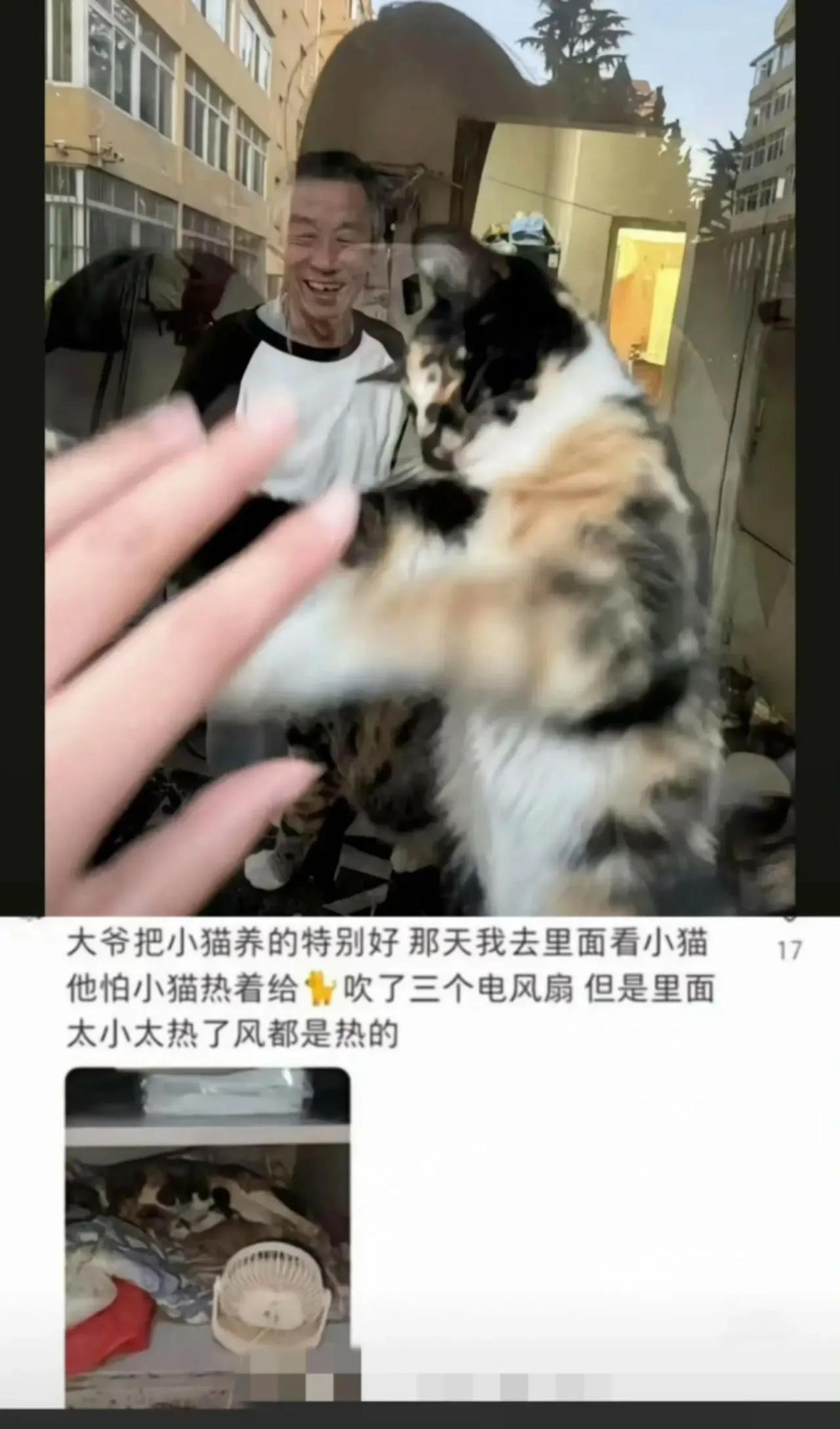 偶然间刷到青岛大学的宿管大爷因为中暑去世的消息，作为大学生的我感到很是痛心。其实