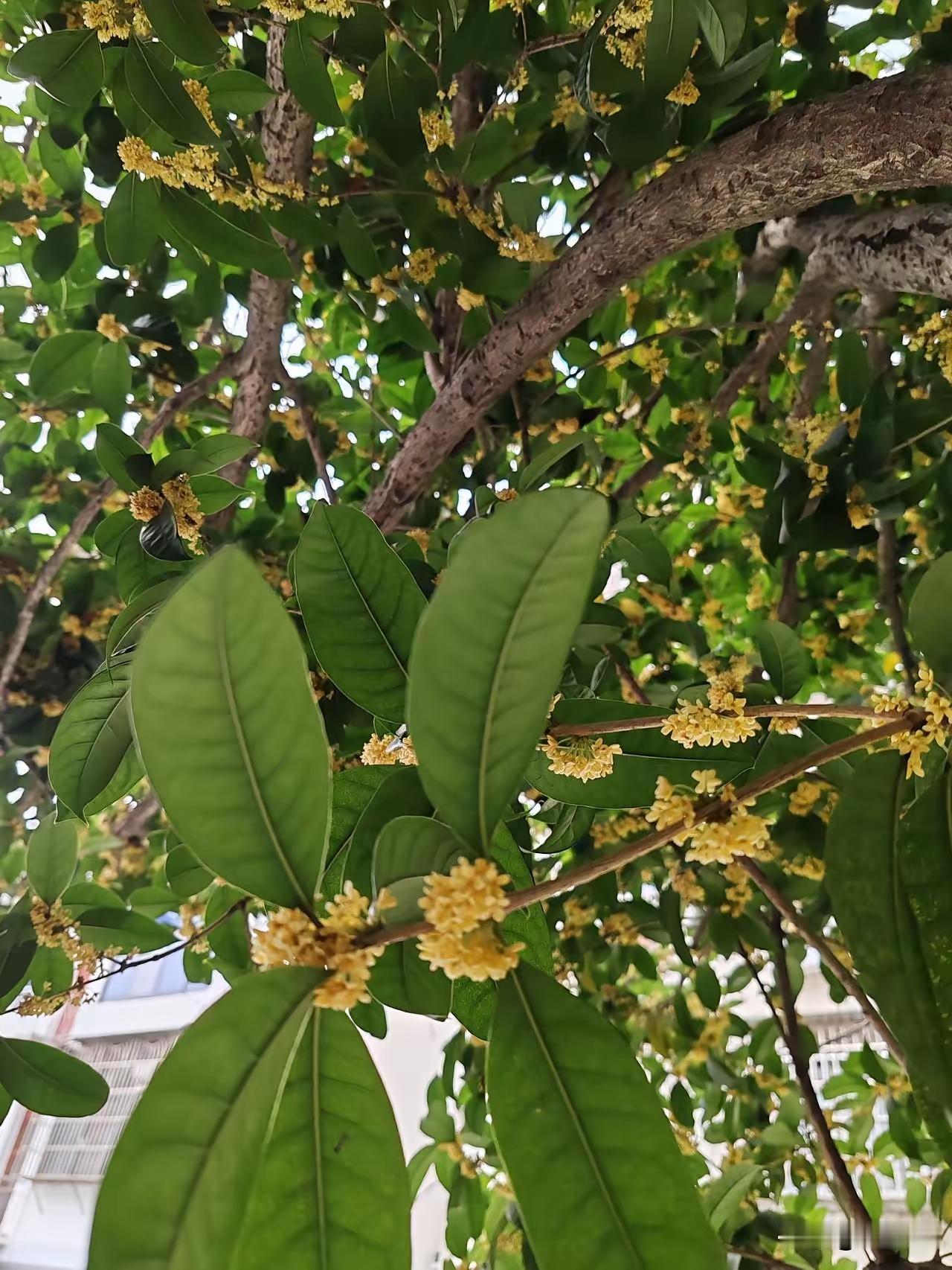 我下班回到家，岳母从卫生间跑出来，身上一丝不挂，我赶紧说：“你怎么不穿衣服就出来