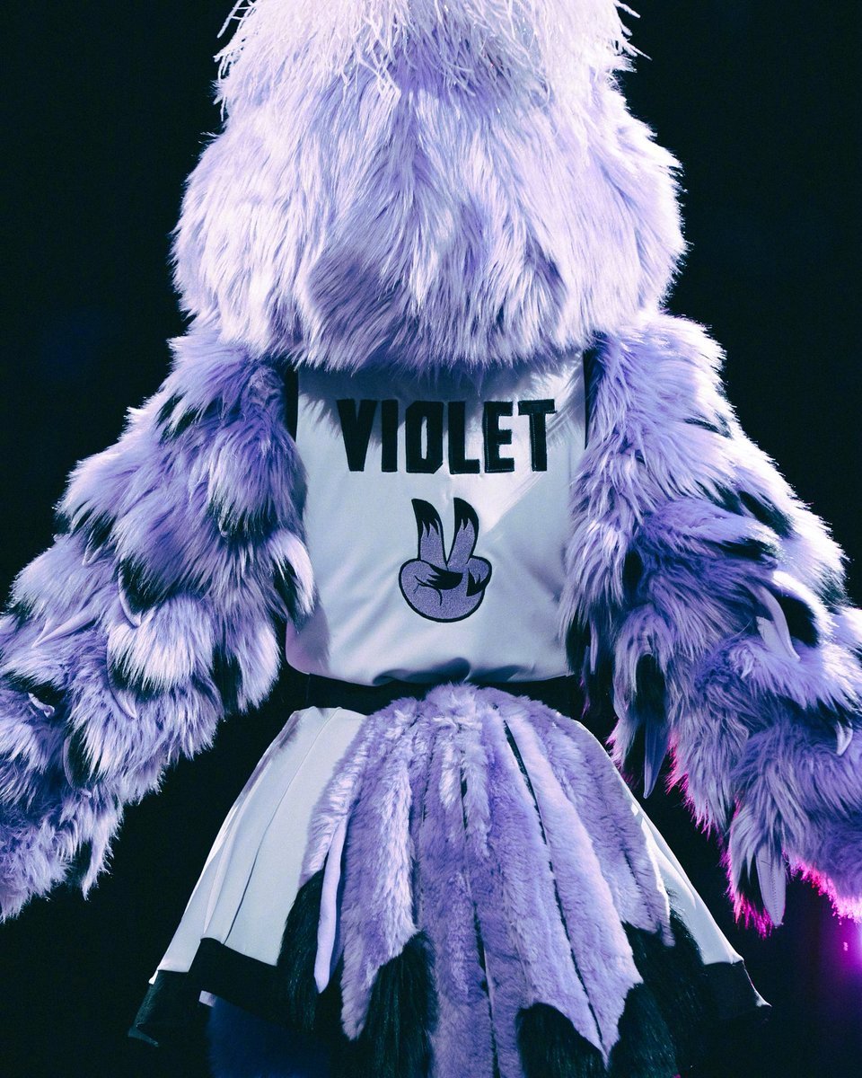 欢迎我们瓦尔基里的吉祥物—Violet小紫💜🫶金州瓦尔基里​​​