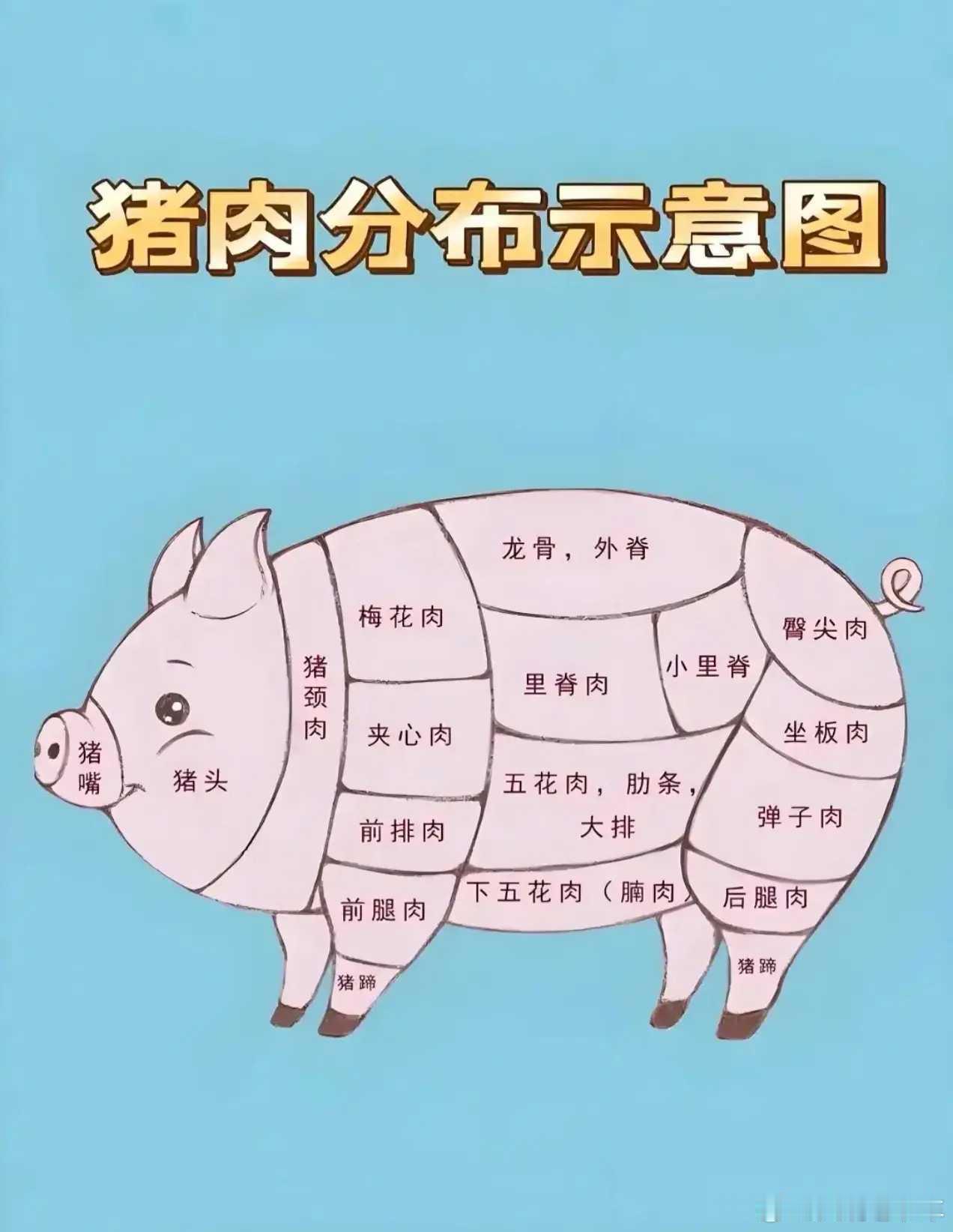 美食看图买肉：下次去买肉可以对照一下，不会买错肉🥩了。吃出花样好有意思