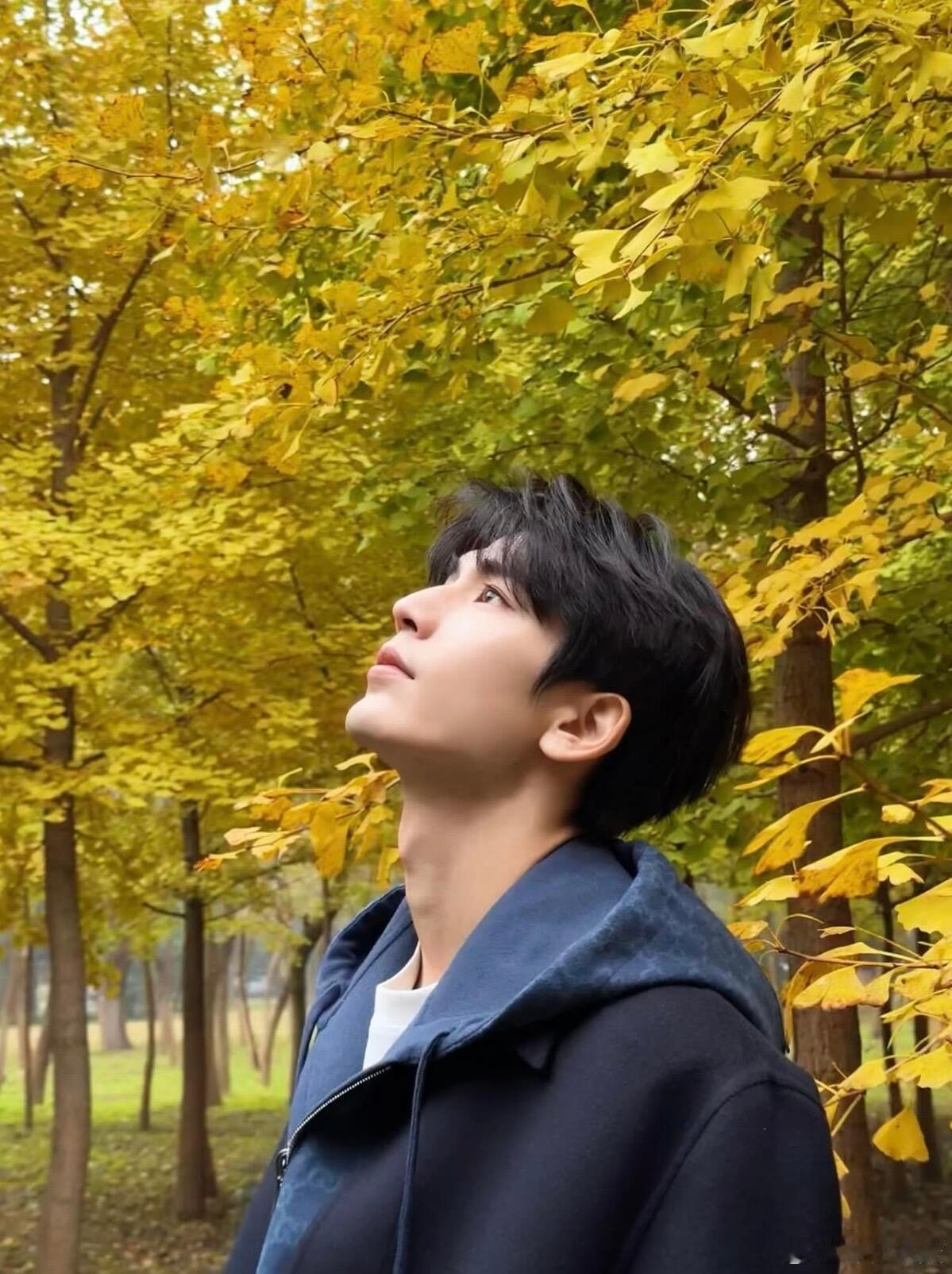 1112|张凌赫IG更新秋日boy上线咯🍁张凌赫｜