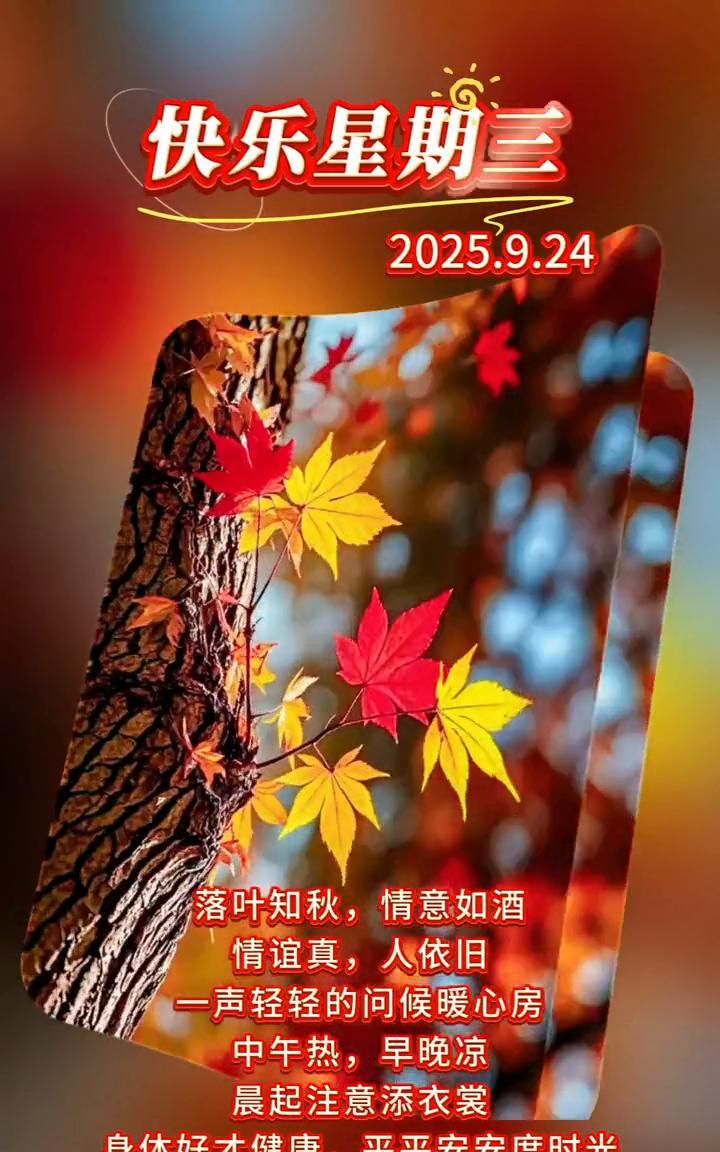 快乐星期三，2025.9.24。落叶知秋，情意如酒。情谊真，人依旧。一声轻轻的