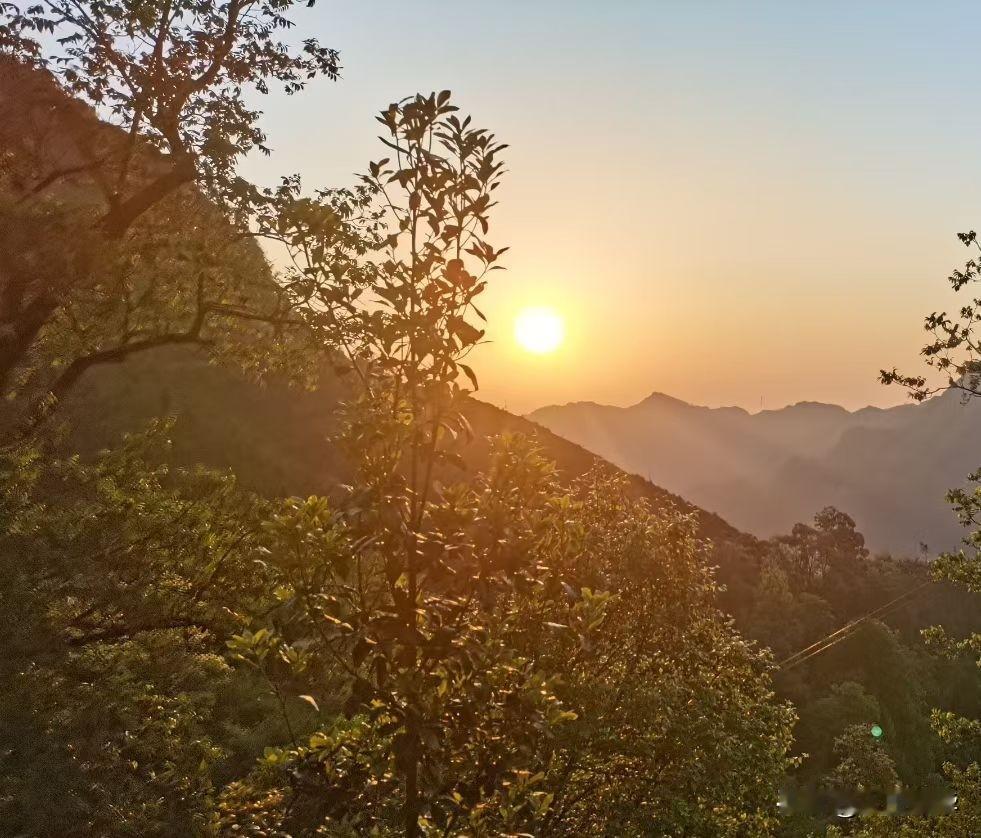 同学拼爹进烟草，小明工地搬砖，十年后差距扎心了高中同学老刘，成绩倒数，毕业却直