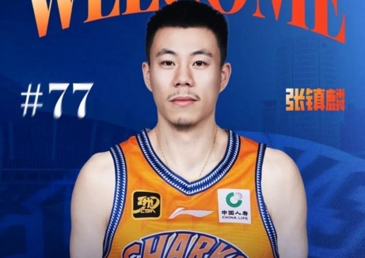 留力不受伤，才是张镇麟的目的，试想打浙江稠州张镇麟得7分，再战浙江广厦张镇麟不多