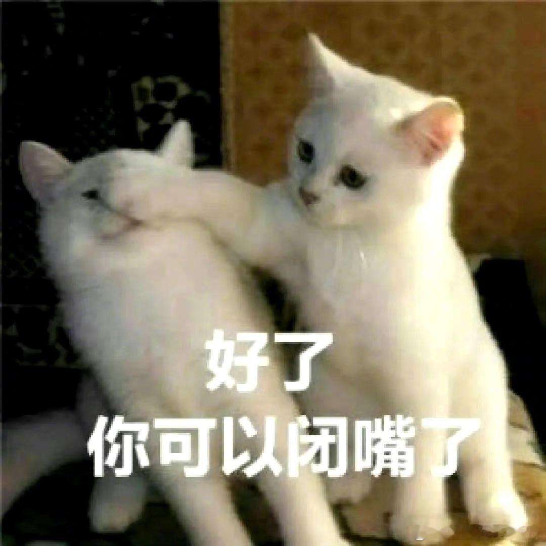 一句话惹毛十二星座对白羊说：你冷静一下对金牛说：这东西买贵了对双子说：你能不能别