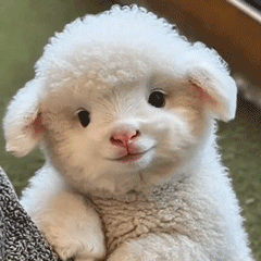 啊啊啊啊啊啊啊啊我躁动的上窜下跳根本冷静不下来，肖战4月2日飞青岛进组《十日终焉