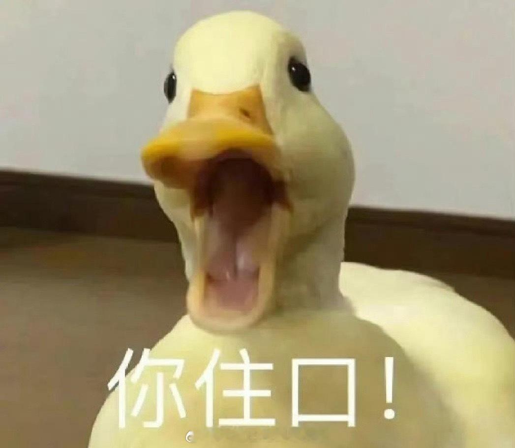 白鹿接触LV话题里还有很多质疑白鹿资历不够的啊？就实绩来说，好歹也是现在的扛剧花