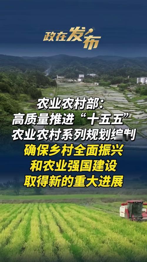 农民有福了！国家“十五五”规划中提出建立两个服务中心，以推动农村发展。第一个是