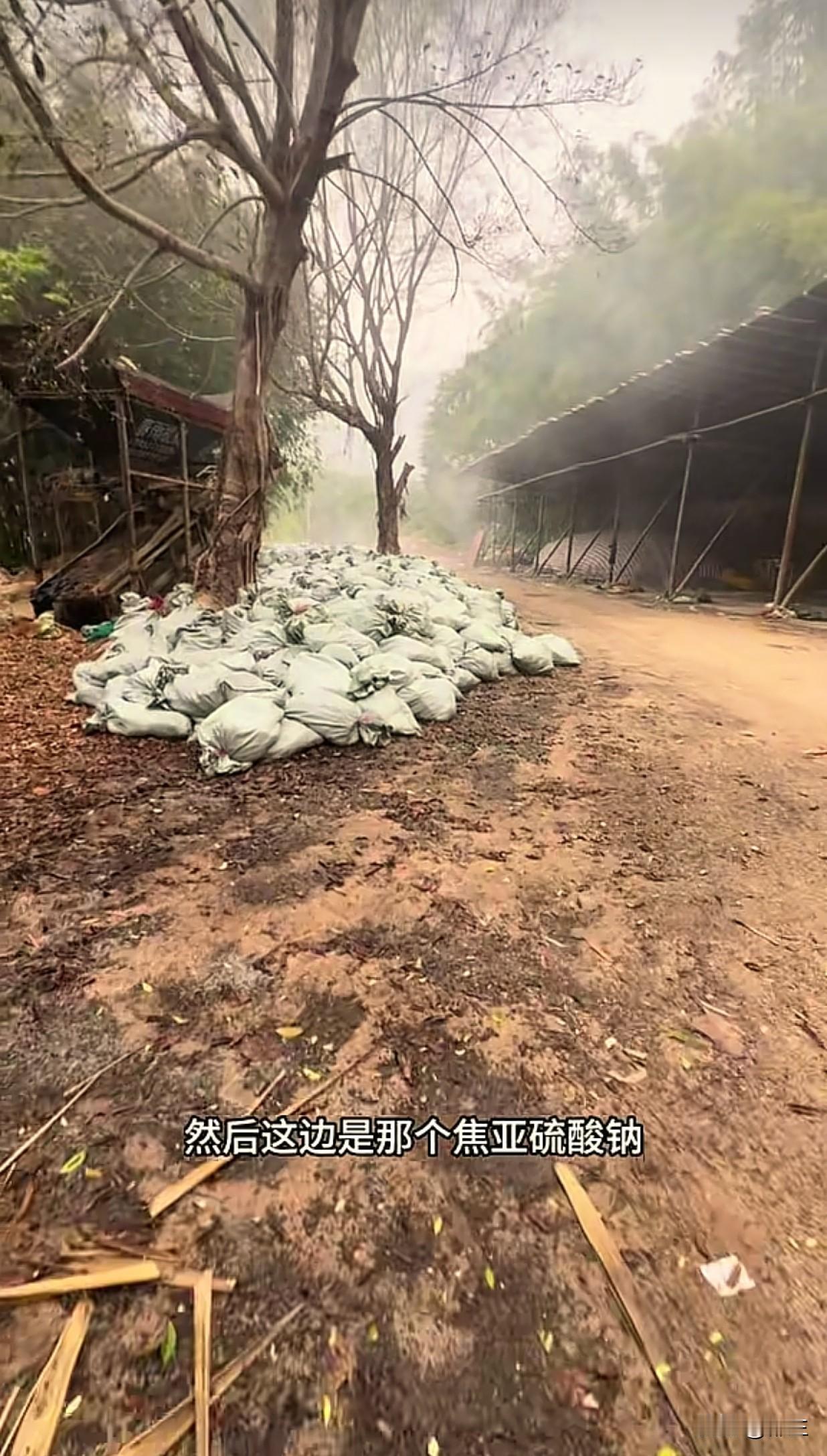 广东清远英德硫熏竹笋事件，又是博主揭发。博主跟踪运输车鲜竹笋车，到达偏僻的山里面