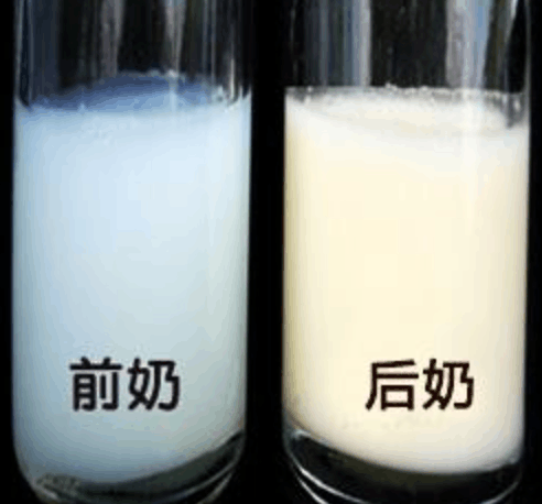 母乳的前奶和后奶有什么区别你知道吗