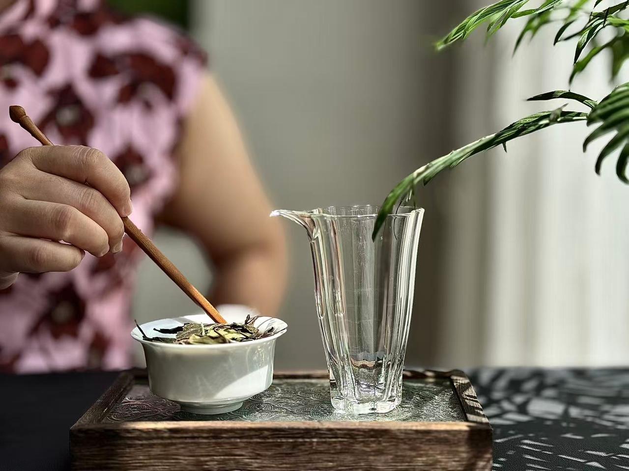 3种越存越烂的白茶，别再当宝了！①斤价低于100元的白茶低于100元/斤的价