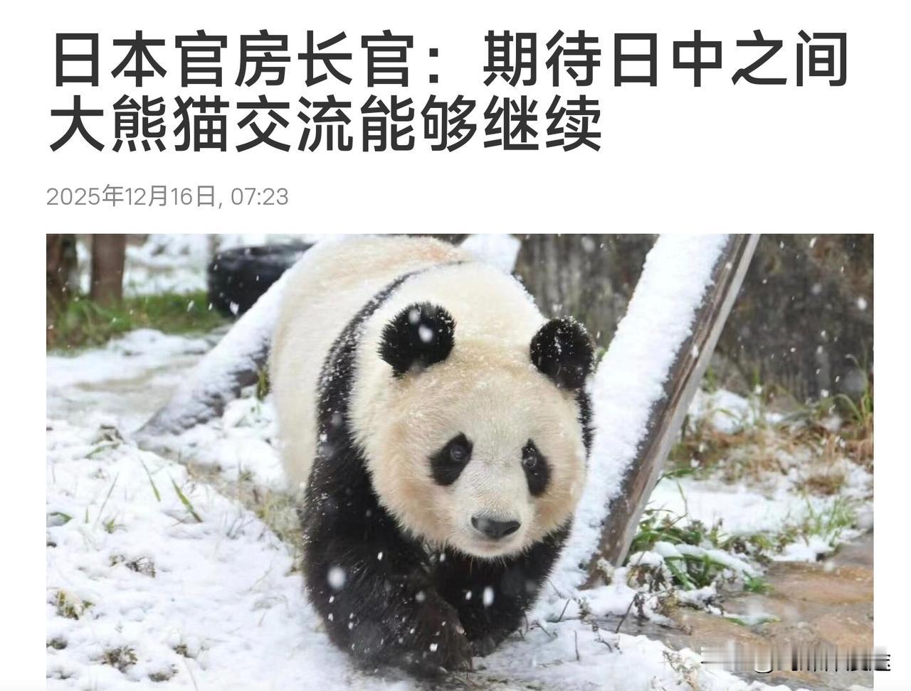 日本道德绑架！日本人喜欢大熊猫所在日本必须有大熊猫，所以中国必须提供！更有日本