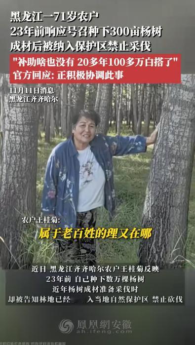 黑龙江，71岁农户23年前响应号召种下300亩杨树，成材后却被纳入保护区禁止采伐
