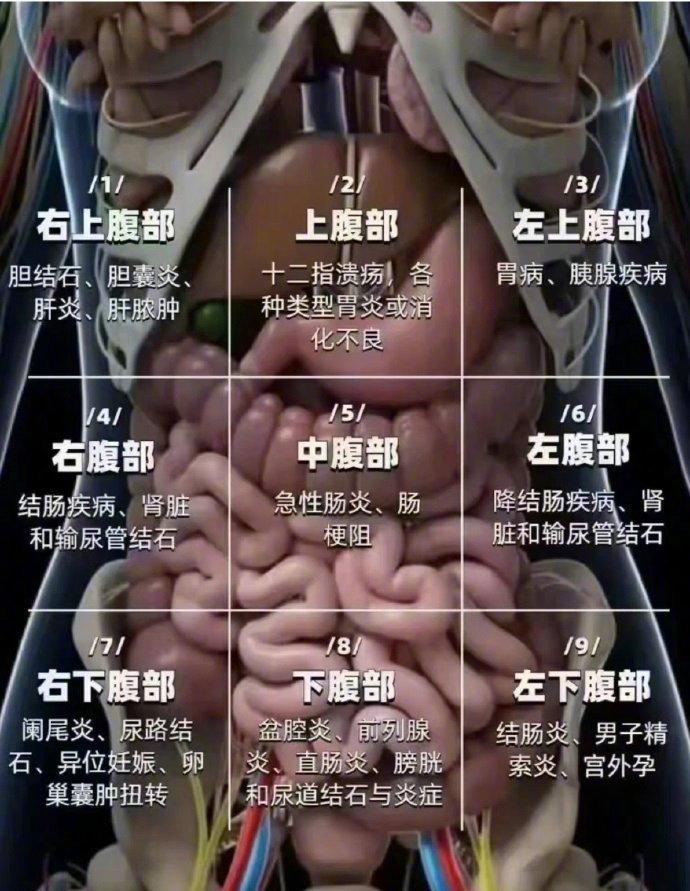 肠道是人体的第二大脑【不同位置的肚子疼提示哪些病】结肠癌多由结肠息肉演变腹部