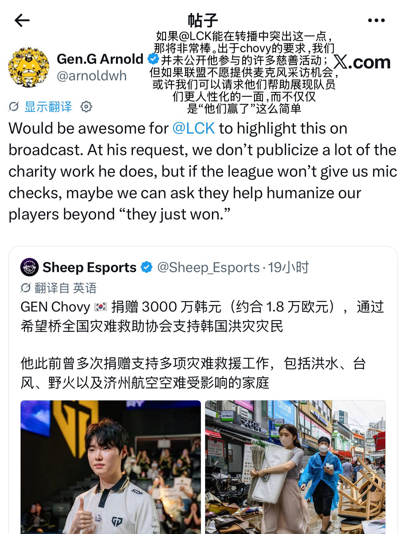 只看见一个善良的好猫和一个推特治国的人