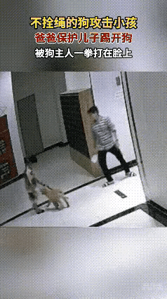 怎样才能做到文明养狗。1、对养狗人来说，必须严格自律。2、管理部门得加强监管