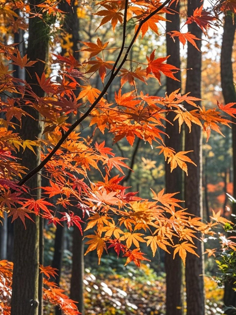 上联：春日桃花一树娇，下联才友请秋时枫林万岭烧