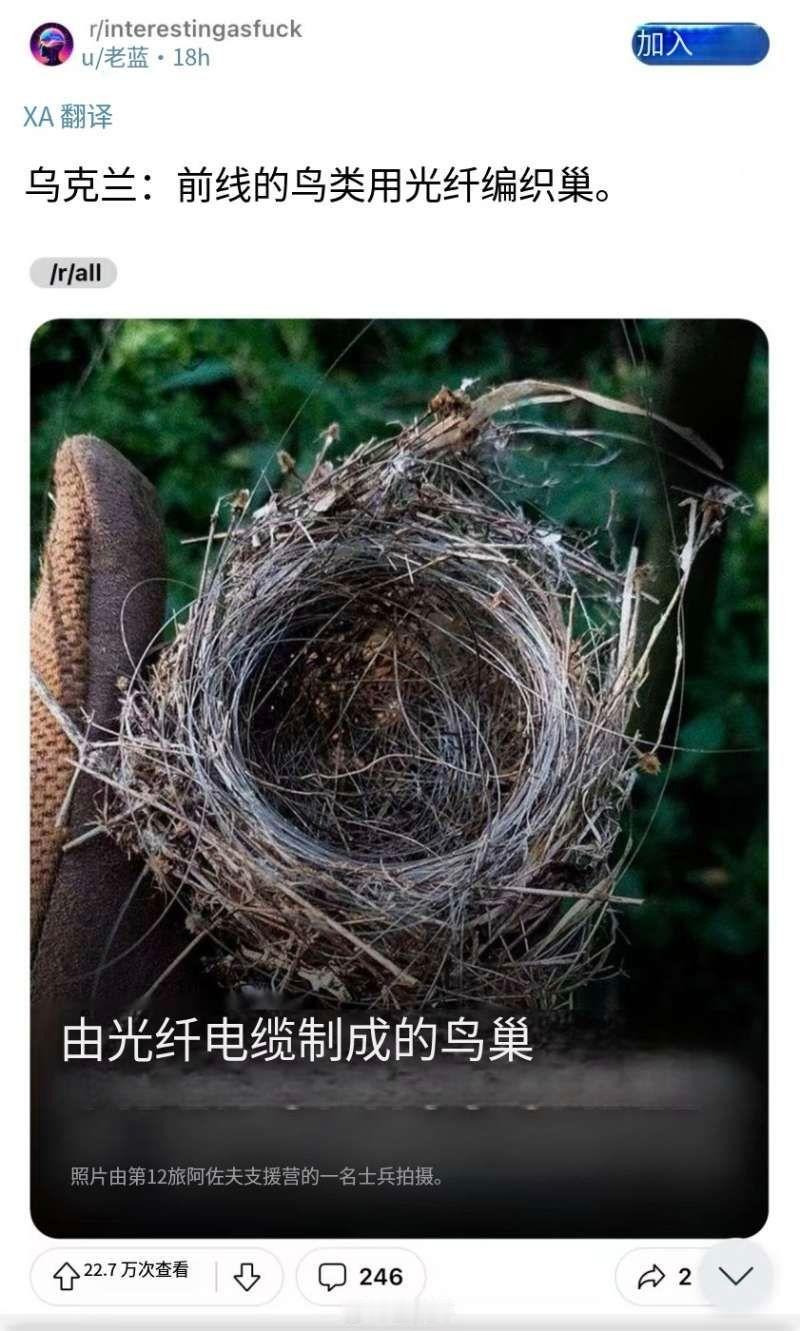 俄乌前线到处是光纤制导无人机蜘蛛网，甚至改变了环境。烽火问鼎计划热点现场武器装备