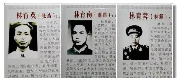 129师首任政委，是115师首任师长的哥哥，在当时这属于机密。林氏三兄弟，张