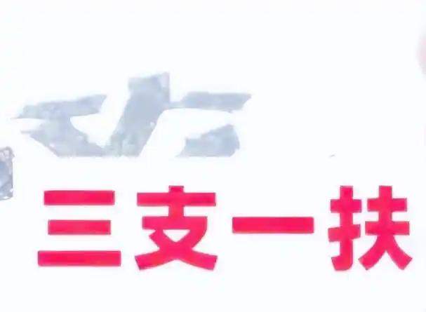 我身边不少朋友参加了今年河南三支一扶考试，看完这次事件，心里感触特别深。十几万应