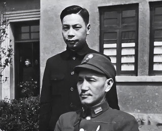难以确认～蒋家第三代认祖归宗的那对双胞胎兄弟的确很难断定为建丰先生所生。尽管，