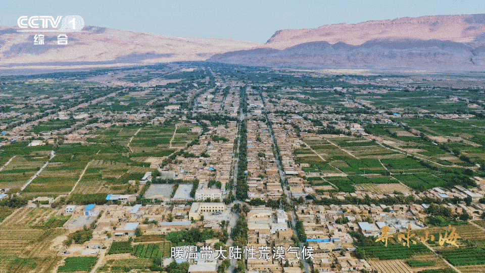 新疆买葡萄干也分色号新疆葡萄干靠晒太阳变颜色新疆葡萄干，一款被阳光“美颜”过的零