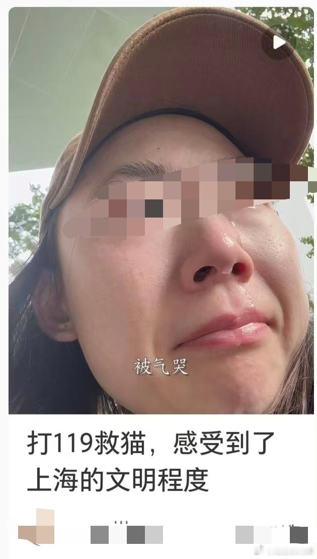 诶嘛不救一只猫老中文明程度又要崩了？👇🏻