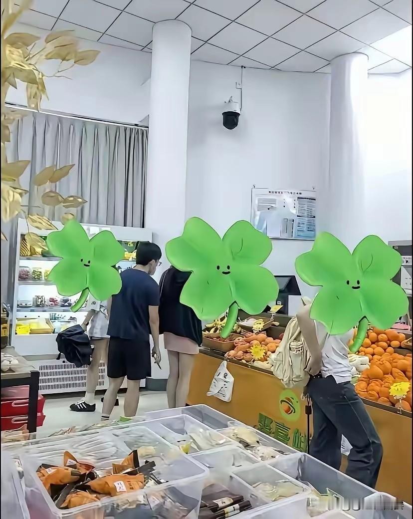堂堂大学生，公考已经上岸，就等毕业证一发，就可以青云直上，成为村里走出去那个最帅