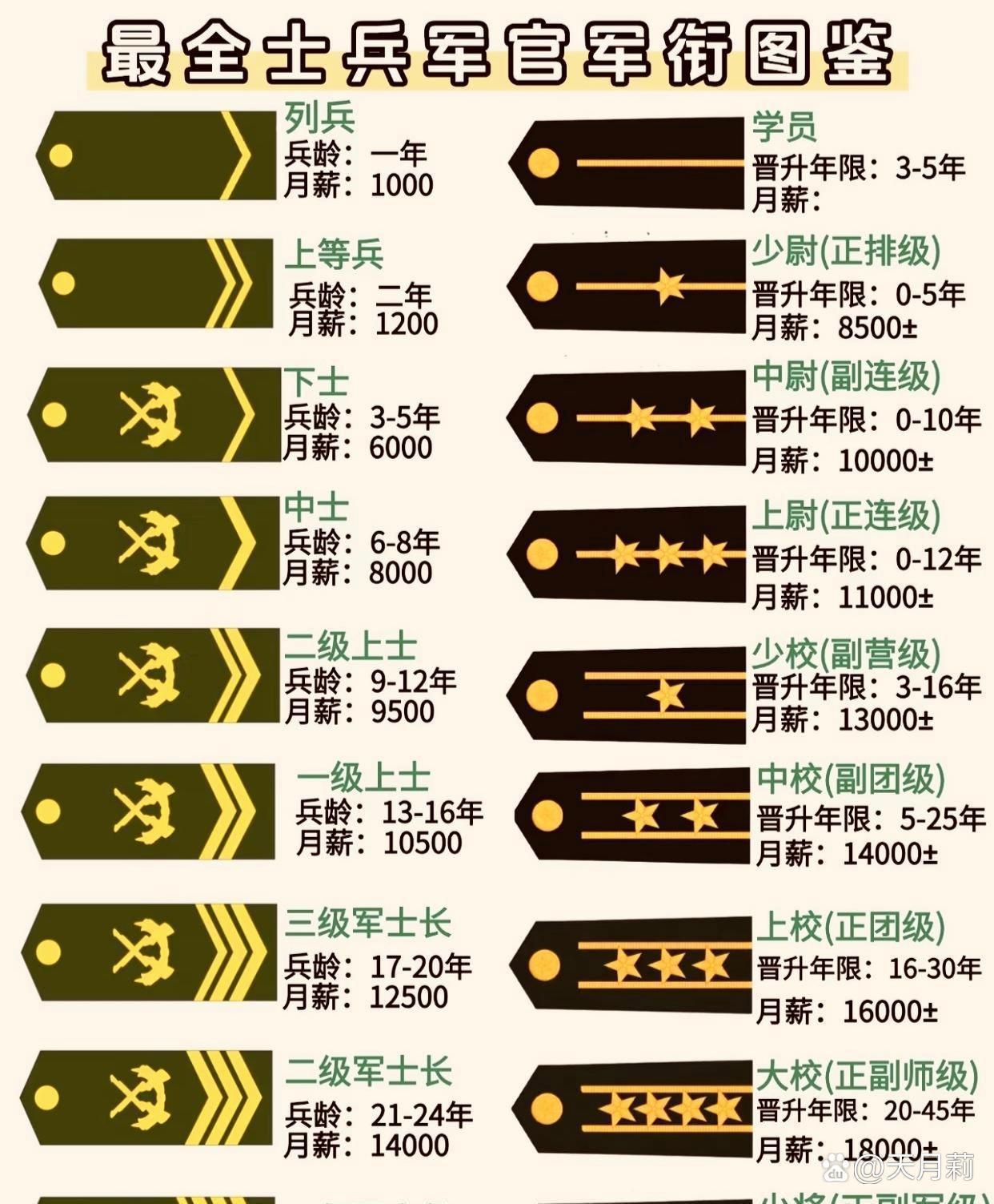 从这张图来看，士兵军衔必须一级一级升上去，但是上尉以下军官的军衔可以直接授予，到